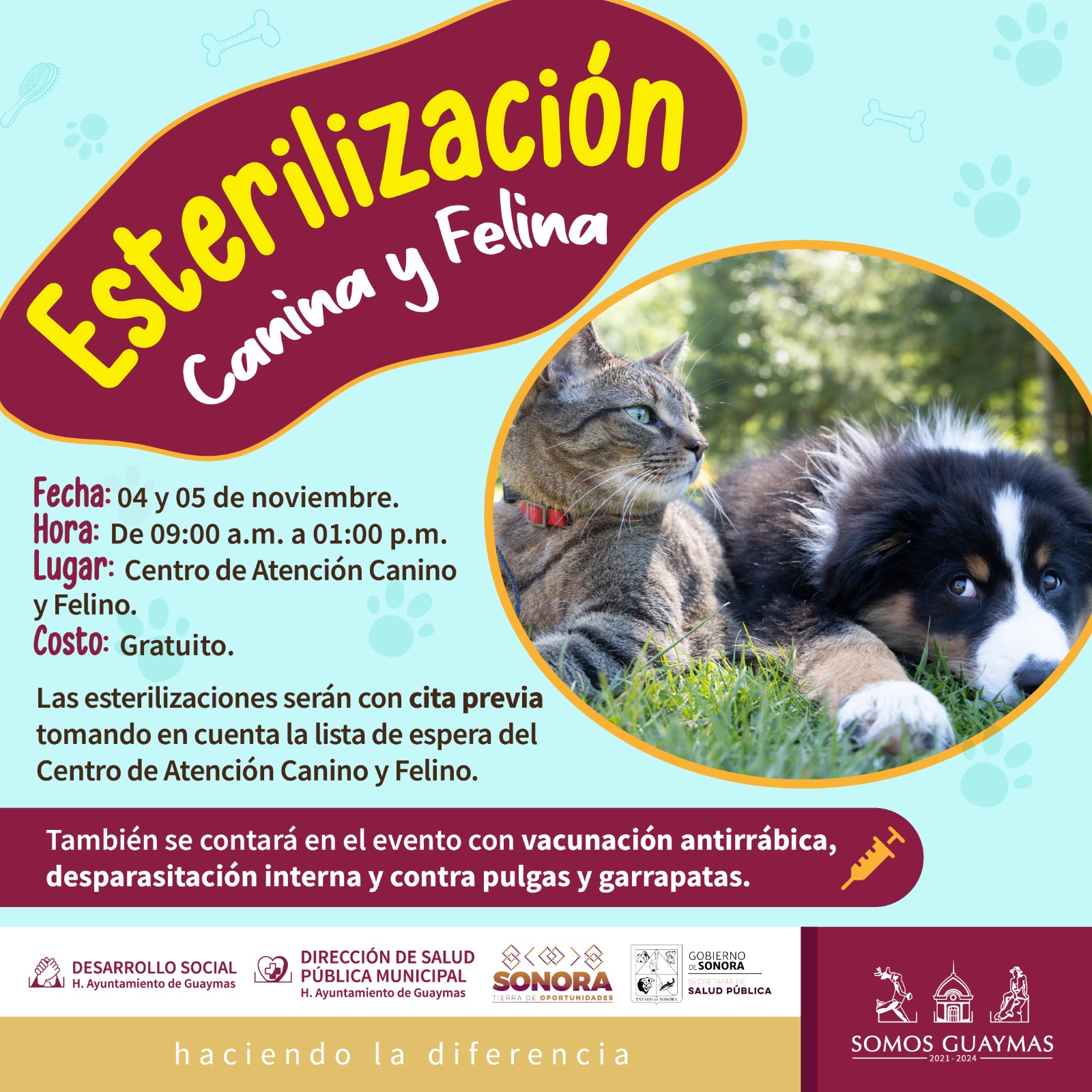 Programan Jornada de esterilización canina y felina este sábado y domingo