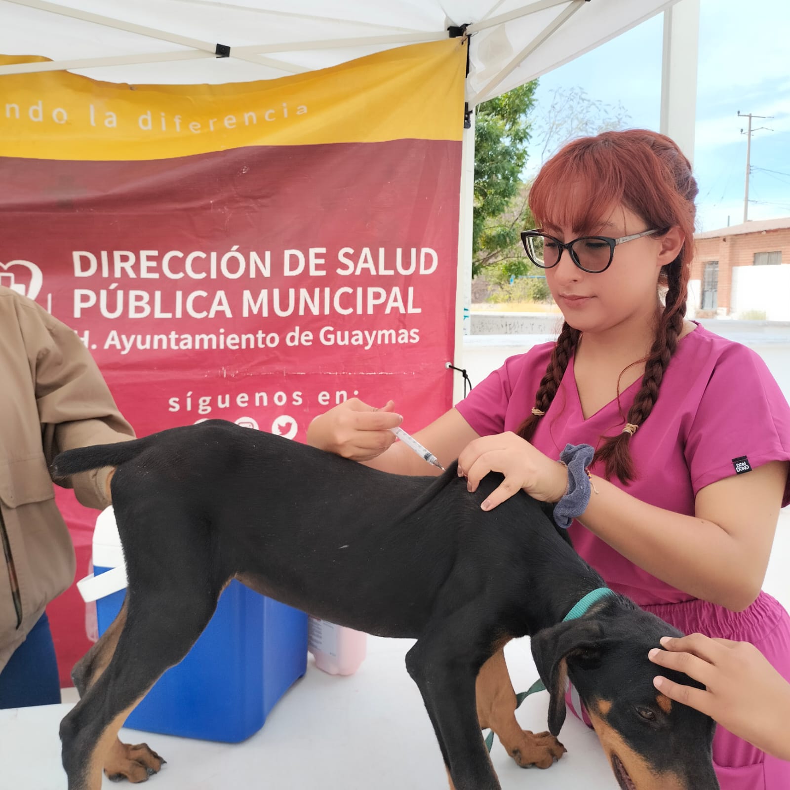 Promueve Ayuntamiento de Guaymas jornada de desparasitación y vacunación antirrábica en sectores Mirador y San Carlos