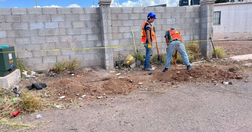 Participa Ayuntamiento de Guaymas en trabajos de alumbrado público.