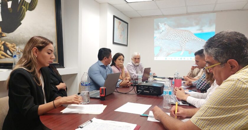 Trabaja Ayuntamiento de Guaymas en la prevención de Dengue.