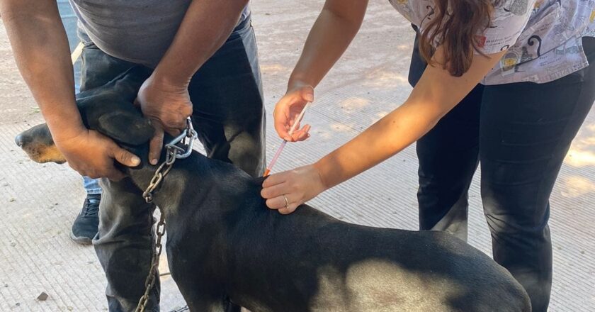 Visita Ayuntamiento de Guaymas colonias con Jornada de Salud