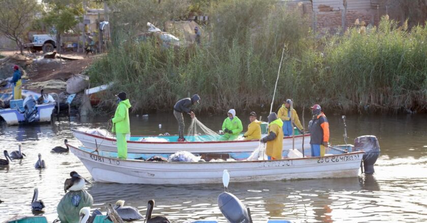 Gobernador Durazo posiciona a Sonora como líder nacional en producción pesquera