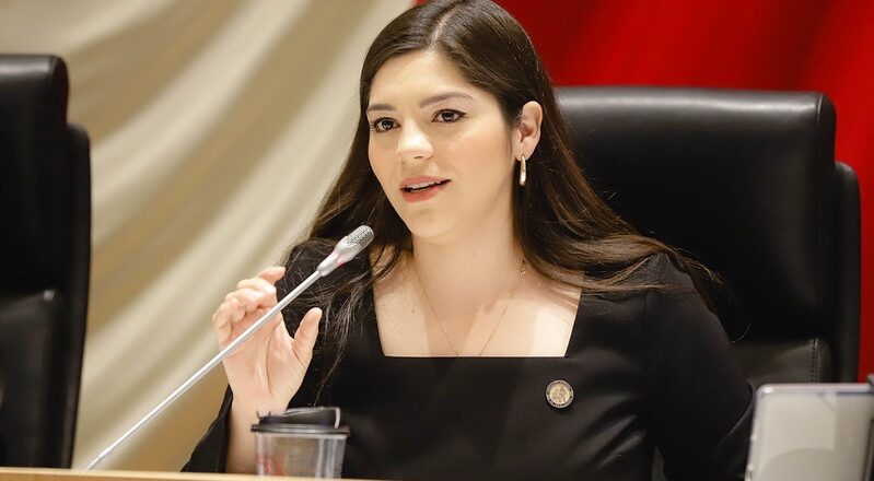 Diputada Amairany Peña Escalante impulsa la implementación de servicios de telemedicina