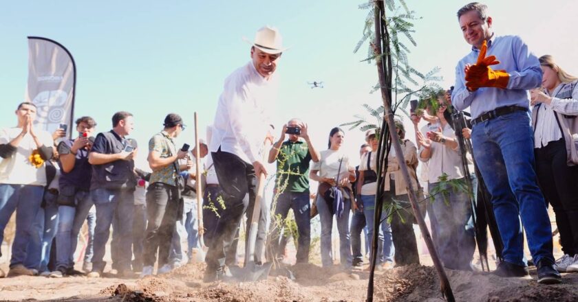 Gobernador Durazo proyecta legado ambiental con plantación de más de 4 mil árboles en La Sauceda