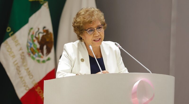 Diputada Rebeca Silva honra la memoria de los mártires de San Ignacio Río Muerto