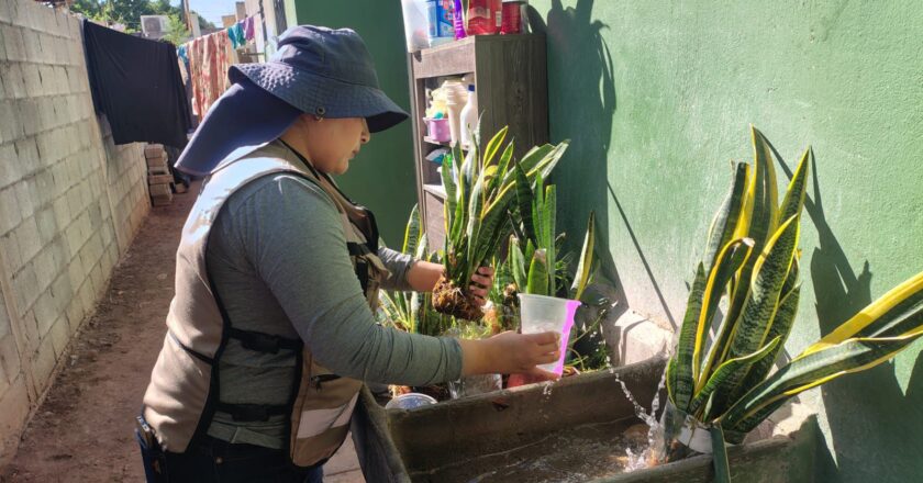 Salud Sonora fumiga más de 154 mil hectáreas contra el dengue en 283 localidades