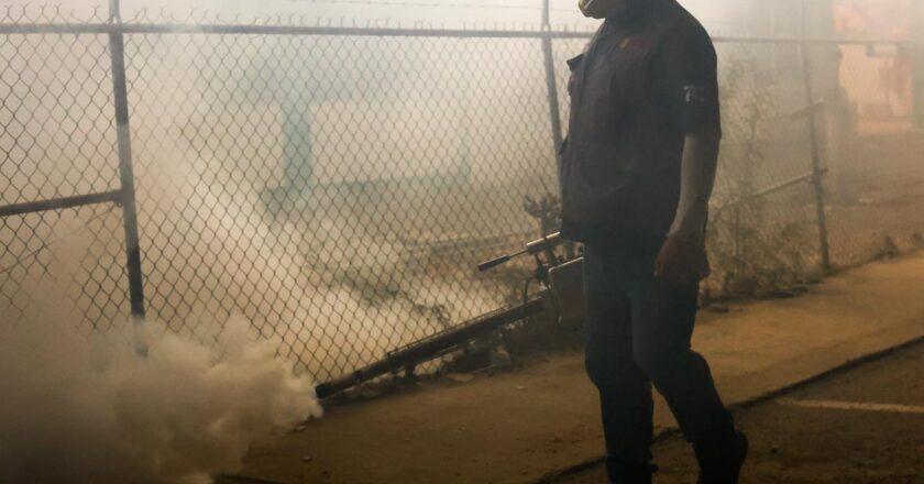 Mantiene Salud Sonora vigilancia y acciones de control del dengue en Sonora