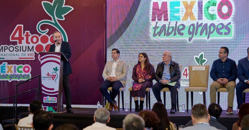 Durazo consolida a Sonora como líder en producción de uva de mesa