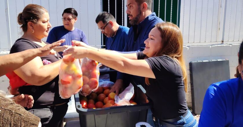 Diputado Sebastián Orduño entrega tomate a familias guaymenses en su Casa de Gestión