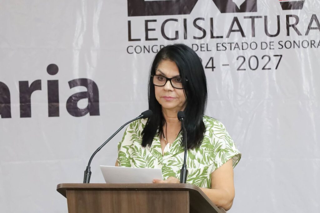 Respalda bancada de MORENA reforma para sancionar intervención extranjera en elecciones: diputada Ernestina Castro Valenzuela