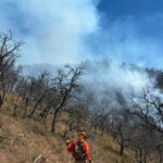 CEPC coordina esfuerzo de más de 100 combatientes forestales en Tarachi