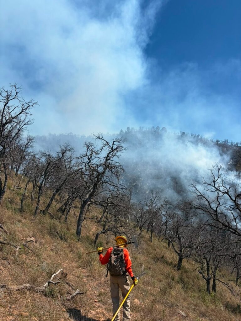 CEPC coordina esfuerzo de más de 100 combatientes forestales en Tarachi