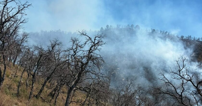 CEPC coordina esfuerzo de más de 100 combatientes forestales en Tarachi