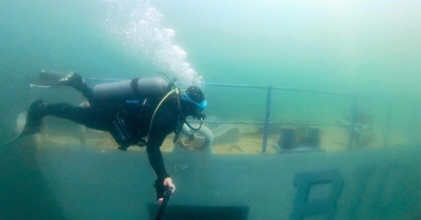 Fortalece Durazo arrecife único en Latinoamérica con nuevo hundimiento de Ex buque ARM Mariscal