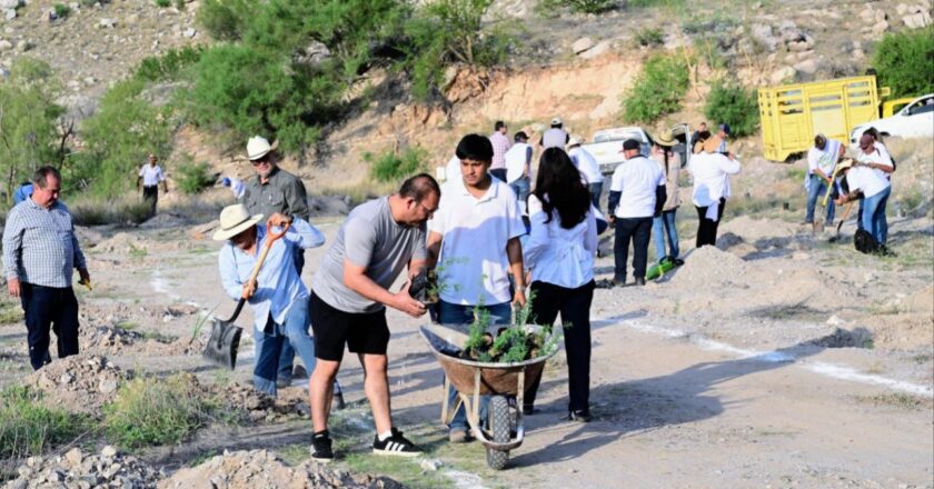 Con más de 13 mil árboles, Gobernador Durazo suma a Sonora a Jornada Nacional de Reforestación de Presidenta Sheinbaum