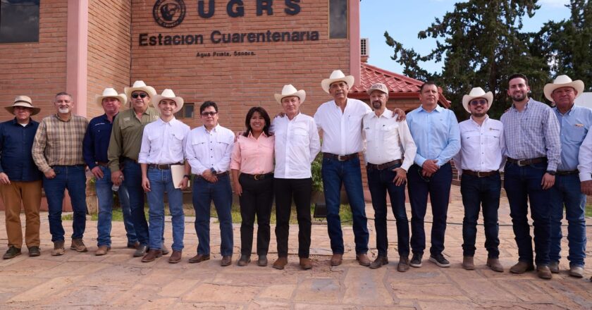 Sonora reactiva exportación de ganado a EU; gestiones de Sheinbaum y Durazo abren la frontera